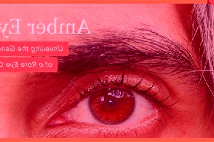 Aubrey, 31, a red amber-eyed mixed companion based in Omis. Offering Travel Companion, Fetish, Massage, OWO, CIM. Available for incall and outcall, day and e...