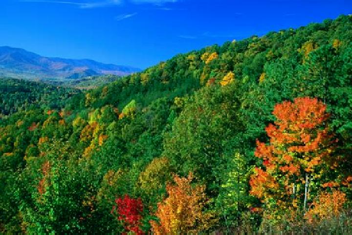 Aubrey, 31 — Escort in Forest, United States
