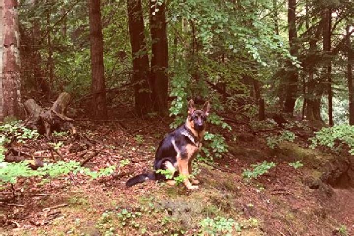 Aubrey, 31 — Escort in Vodskov, Denmark