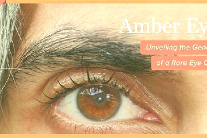 Aubrey, 32, a red amber-eyed indian companion based in Perdika. Offering 69, GFE, OWO, BDSM. Available for incall and outcall, overnight bookings available.