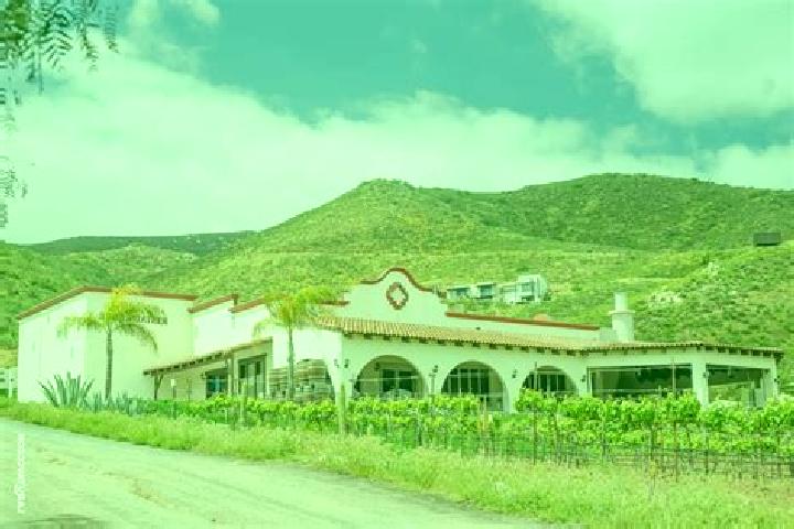 Aubrey, 32 — Escort in Hacienda Guadalupe, Mexico