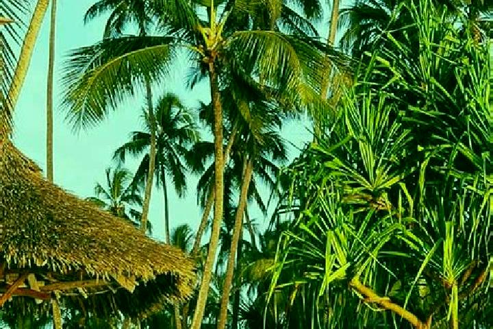 Aubrey, 32 — Escort in Katumba, Tanzania