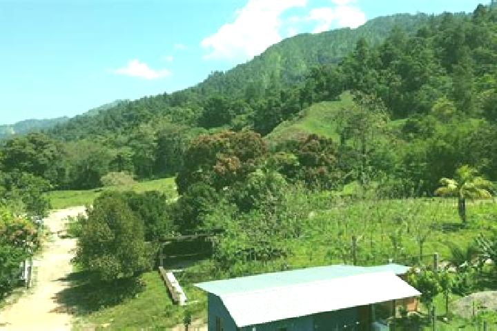 Aubrey, 32 — Escort in Paujiles, Honduras