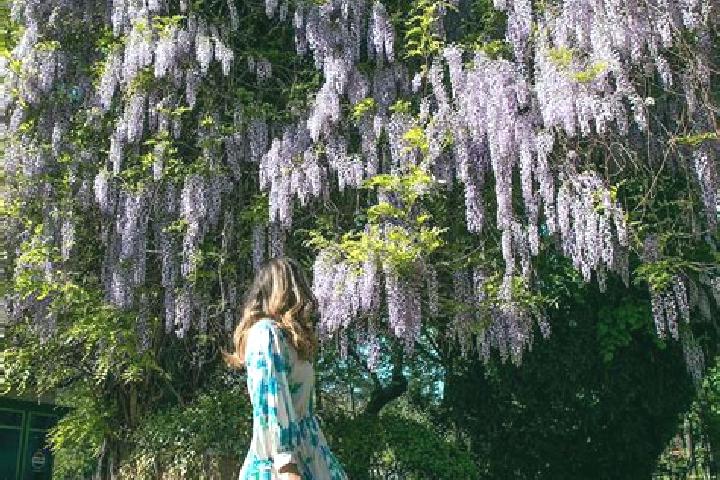Aubrey, 32 — Escort in Schitu Poienari, Romania