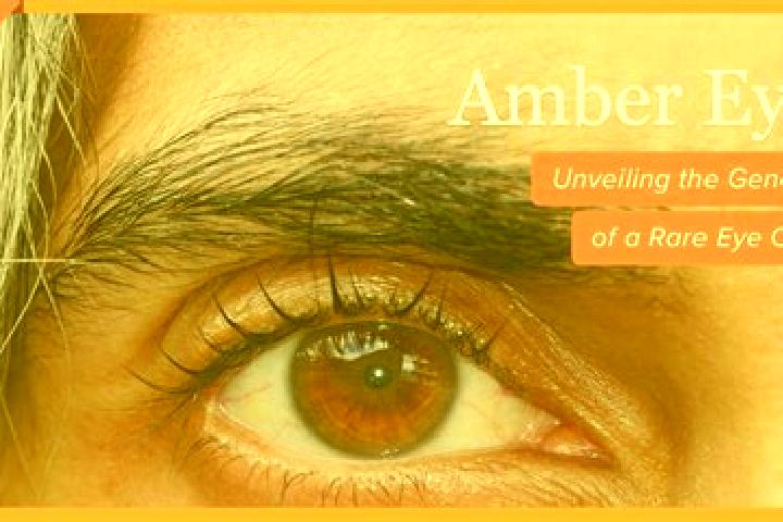 Aubrey, 33, a red amber-eyed middle eastern companion based in Stroine. Offering Deep French Kissing, Prostate Massage, OWO, Massage, Travel Companion. Avail...