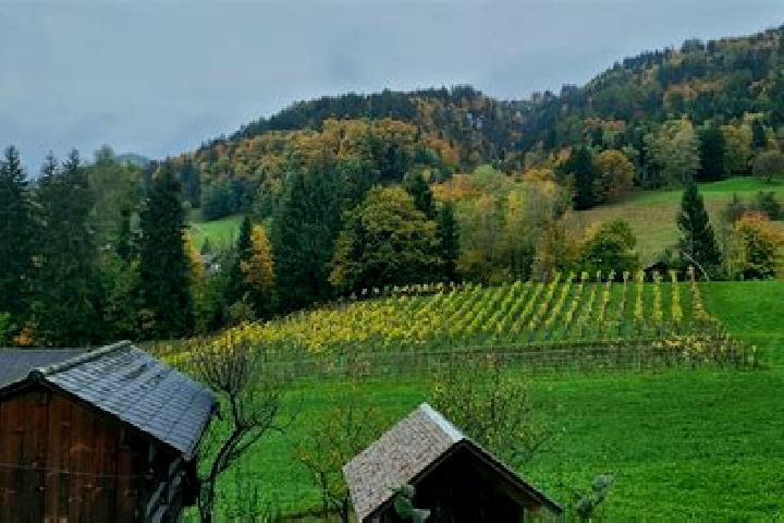 Aubrey, 34 — Escort in Batschuns, Austria