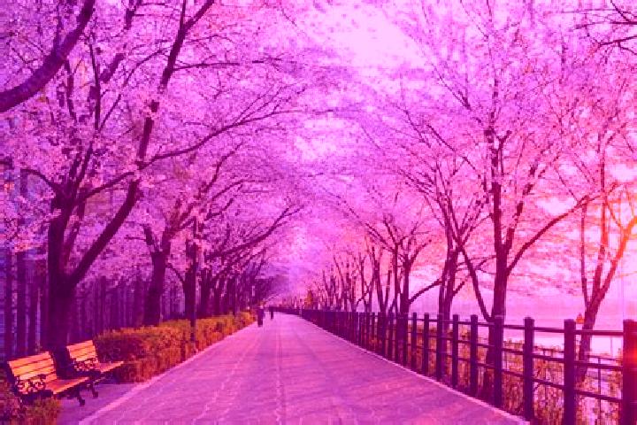 Aubrey, 34 — Escort in Deokjin, South Korea