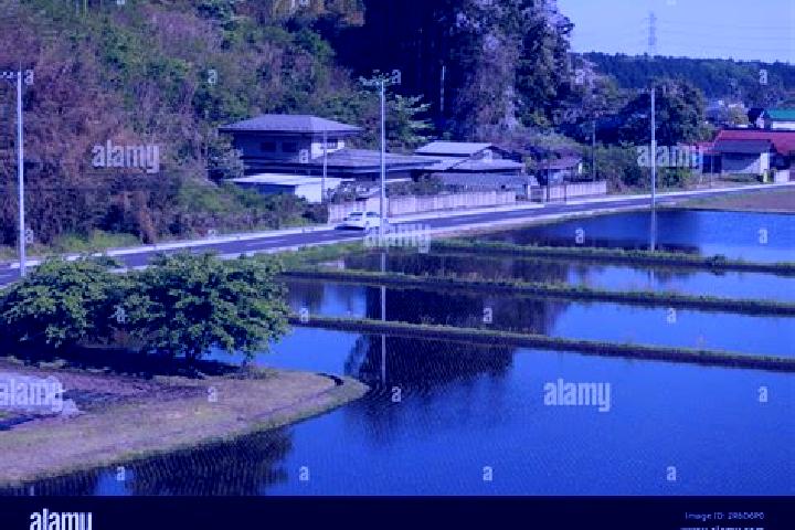 Aubrey, 34 — Escort in Kanuma, Japan