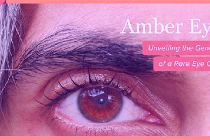 Aubrey, 35, a red amber-eyed caribbean companion based in Fregene. Offering Duos, Roleplay, Couples. Available for incall and outcall, day and evening dates.