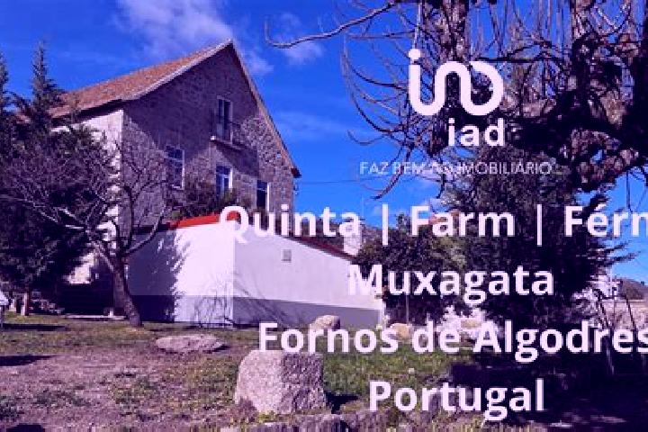 Aubrey, 35 — Escort in Fornos de Algodres, Portugal