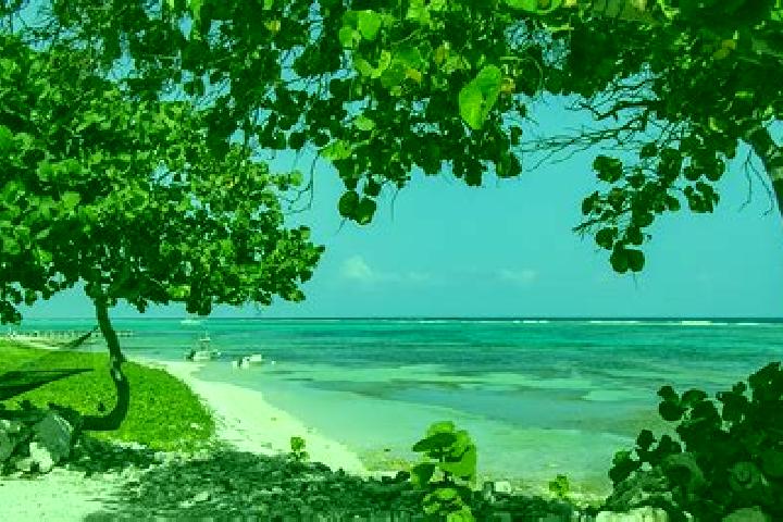 Aubrey, 35 — Escort in Little Cayman, Cayman Islands