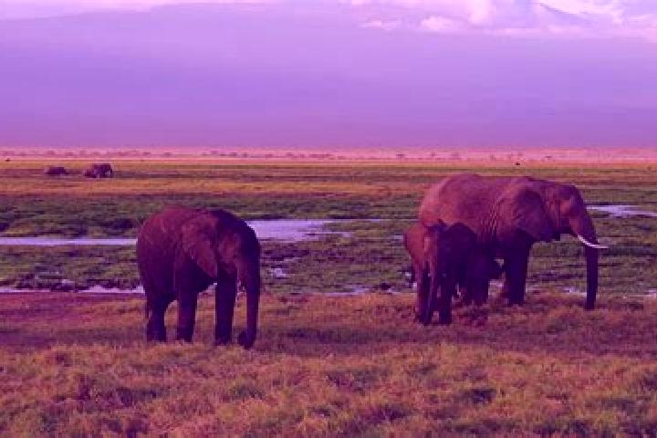 Aubrey, 35 — Escort in Upper Gilgil, Kenya