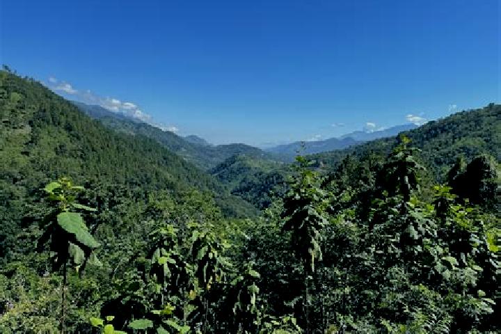 Aubrey, 36 — Escort in Senahu, Guatemala
