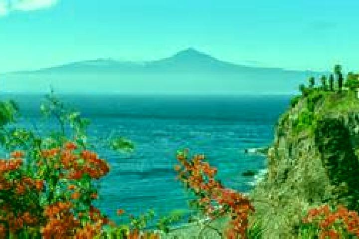 Aubrey, 37 — Escort in Piedra Hincada, Mexico