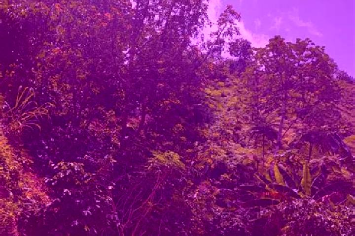 Aubrey, 38 — Escort in Adjuntas, Puerto Rico