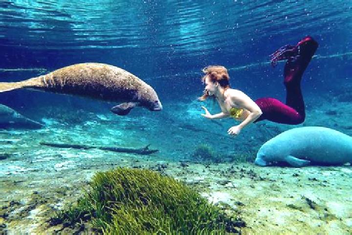 Aubrey, 39, a blonde amber-eyed european companion based in North Weeki Wachee. Offering Massage, OWO, Dinner Date, Tantra, CIM. Available for incall and out...