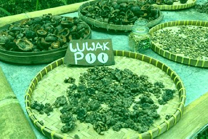 Aubrey, 39 — Escort in Lupak, Indonesia