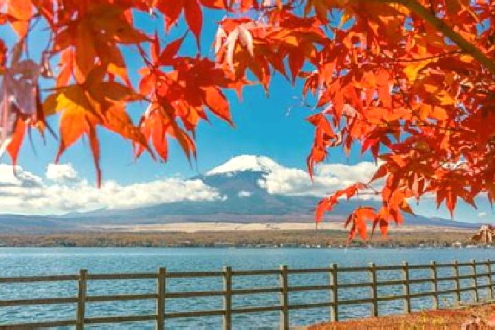 Aubrey, 39 — Escort in Minamidaito, Japan
