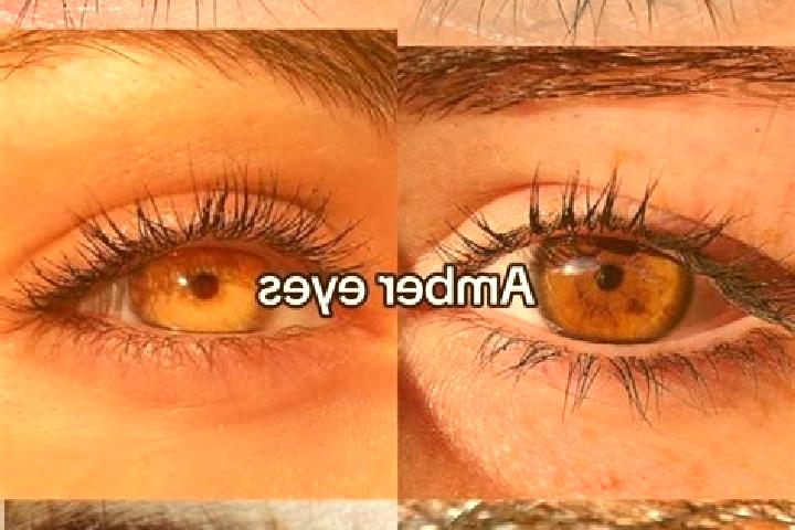 Aurora, 20, a brunette amber-eyed slavic companion based in Adelaide. Offering Roleplay, A-Level, 69, GFE. Available for incall and outcall, day and evening ...