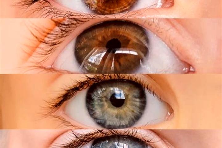 Aurora, 20, a chestnut green-eyed mixed companion based in Ayetoro. Offering CIM, Prostate Massage, Deep French Kissing. Available for incall and outcall, ov...