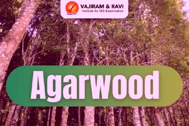 Aurora, 20 — Escort in Agar, India