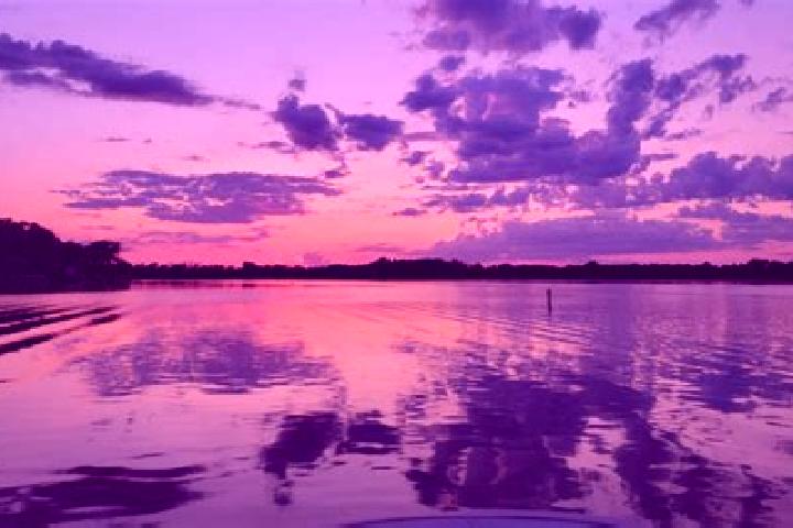 Aurora, 20 — Escort in Beaver Dam Lake, United States