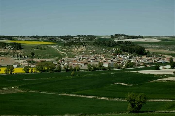 Aurora, 20 — Escort in Castroverde de Cerrato, Spain
