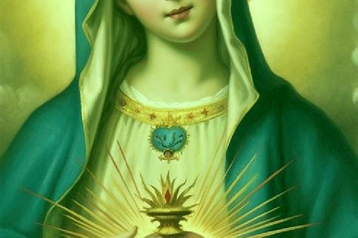 Aurora, 20 — Escort in Corazon de Jesus (Pina), Mexico