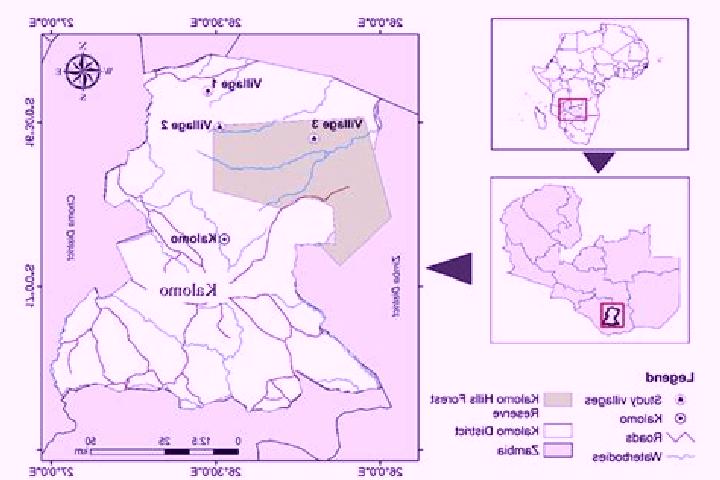 Aurora, 20 — Escort in Kalomo, Zambia