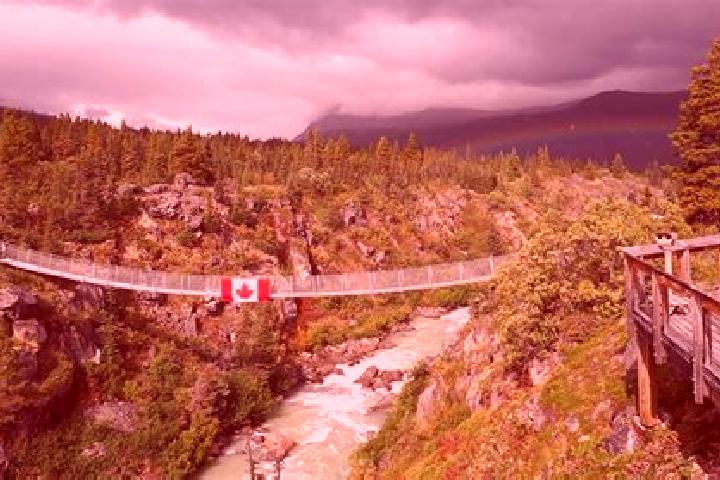 Aurora, 20 — Escort in Koksilah, Canada