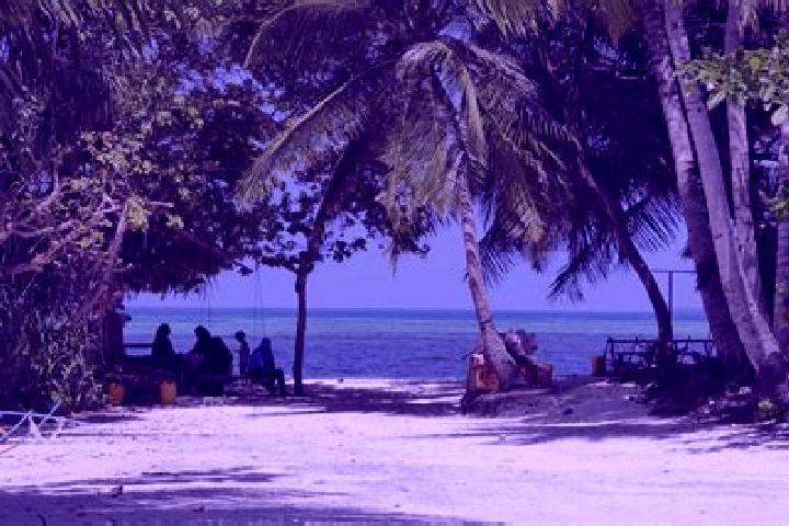 Aurora, 20 — Escort in Maafaru, Maldives