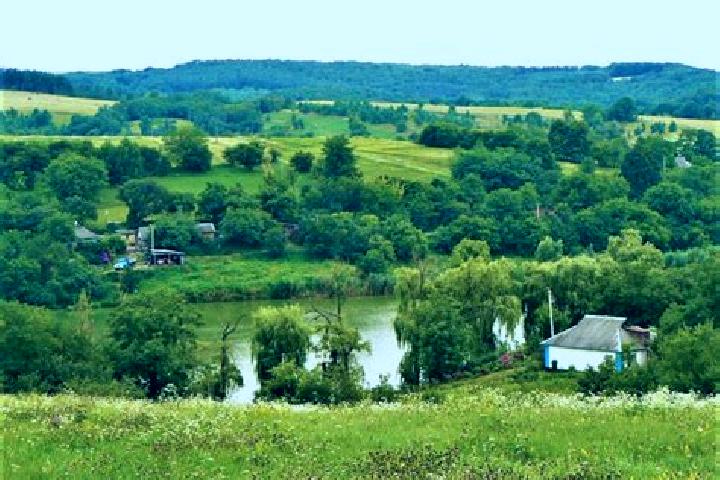 Aurora, 20 — Escort in Melnyky, Ukraine
