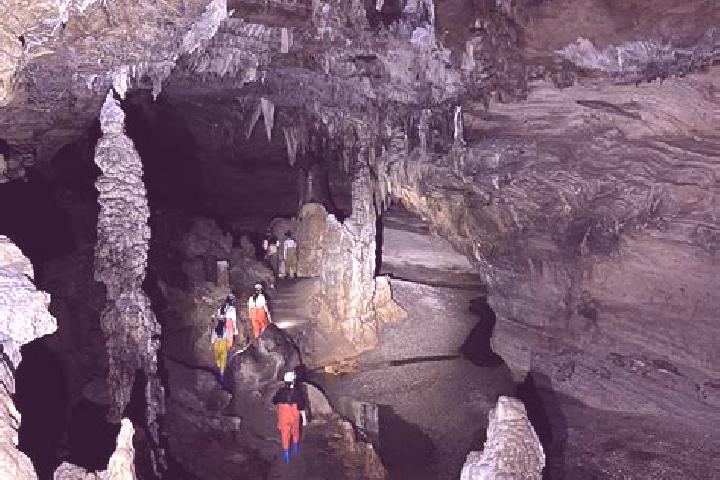 Aurora, 20 — Escort in North Cave, United Kingdom