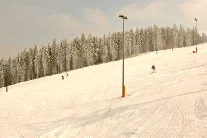 Aurora, 20 — Escort in Oberhof, Switzerland