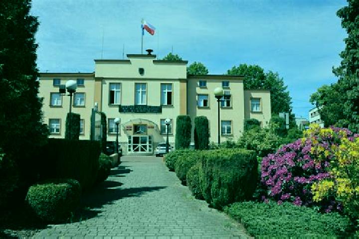 Aurora, 20 — Escort in Orzesze, Poland