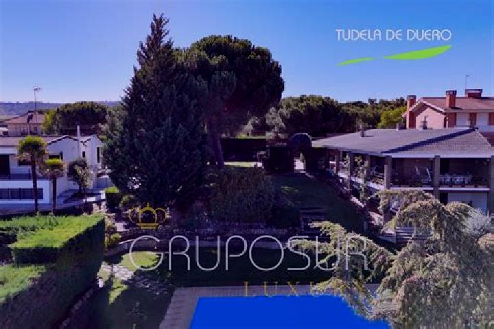 Aurora, 20 — Escort in Tudela de Duero, Spain