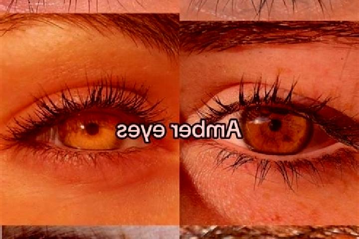 Aurora, 21, a brunette amber-eyed caribbean companion based in Veitshochheim. Offering Roleplay, OWO, Erotic Massage. Available for incall and outcall, day a...