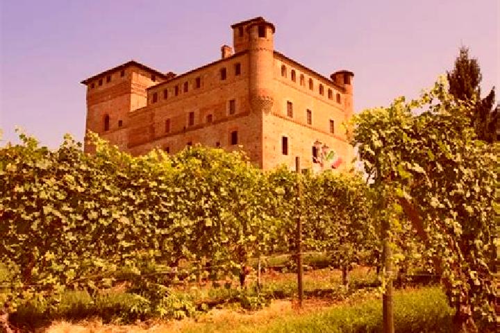 Aurora, 21, a red green-eyed mixed companion based in Grinzane Cavour. Offering CIM, 69, Roleplay, Couples. Available for incall and outcall, overnight booki...