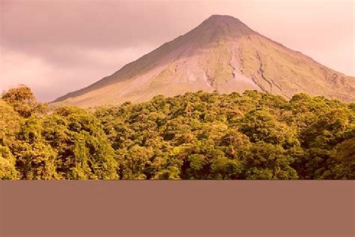 Aurora, 21 — Escort in Arenal de Alvarez (Arenal de Paco), Mexico