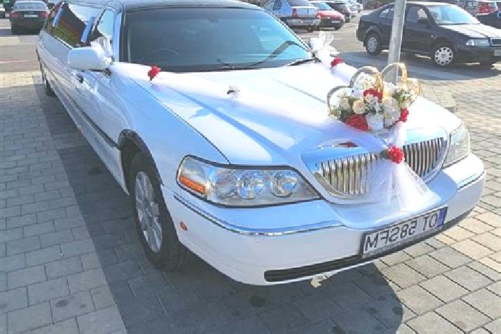 Aurora, 21 — Escort in Farcasele, Romania
