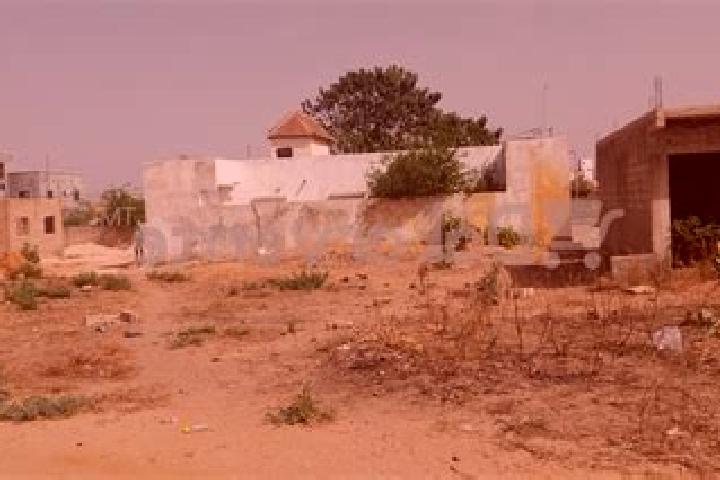 Aurora, 21 — Escort in Kebemer, Senegal
