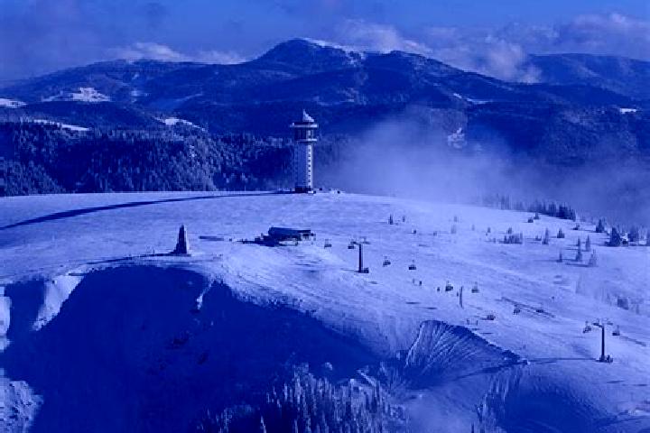 Aurora, 21 — Escort in Muellheim-Feldberg, Germany