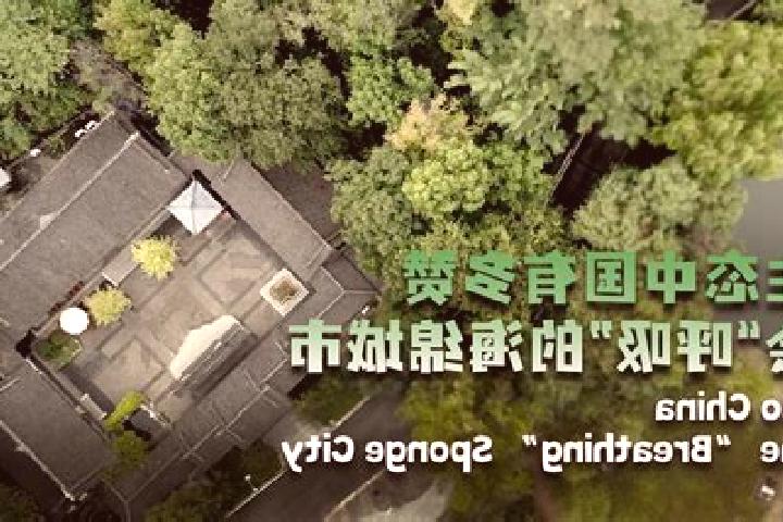 Aurora, 21 — Escort in Pingxiang, China