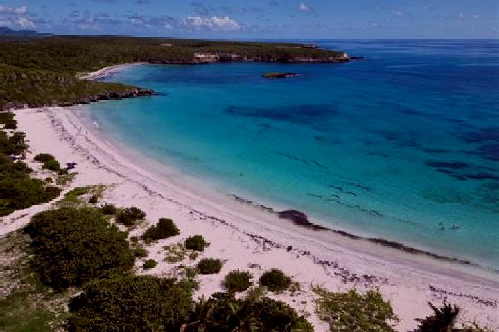 Aurora, 21 — Escort in Vieques, Puerto Rico