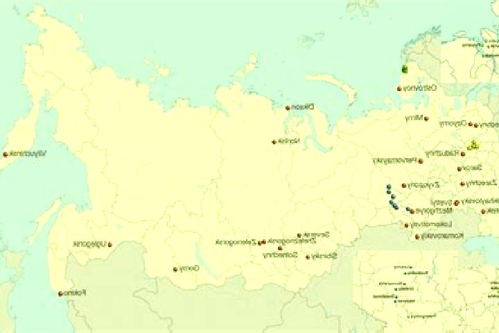 Aurora, 21 — Escort in Zonal noye, Russia