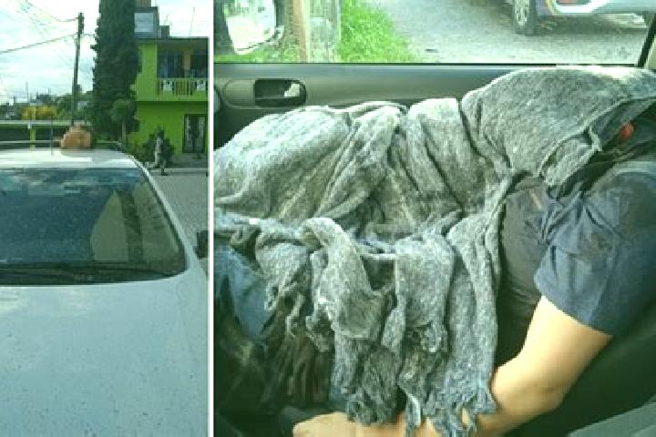 Aurora, 22 — Escort in Alcalde Mayor, Mexico