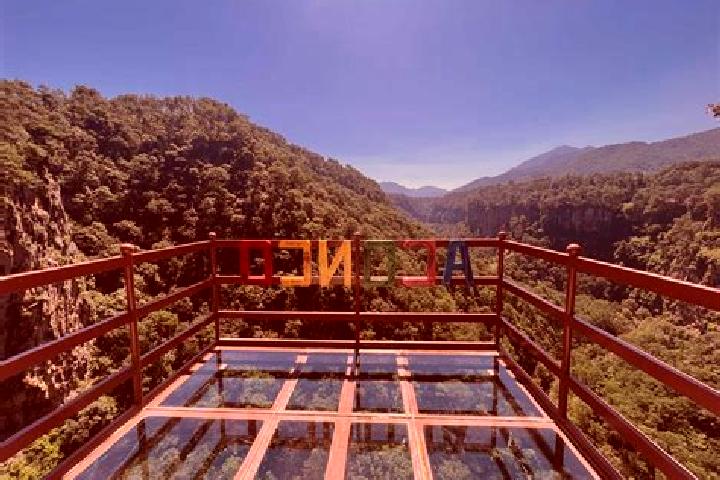 Aurora, 22 — Escort in Amola de Ocampo, Mexico