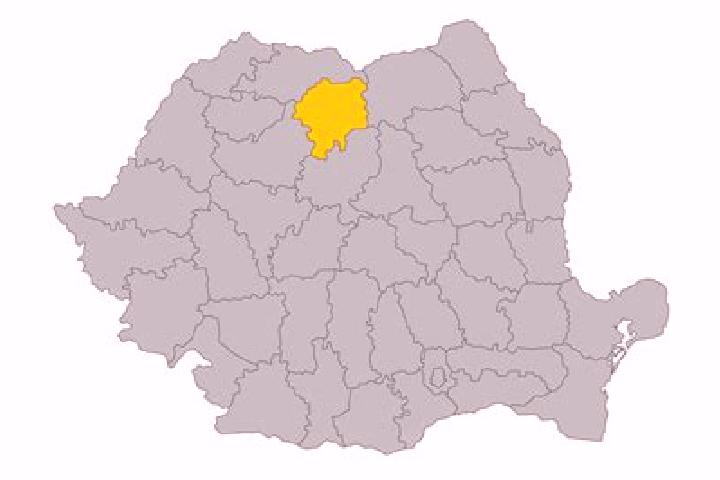 Aurora, 22 — Escort in Draxini, Romania