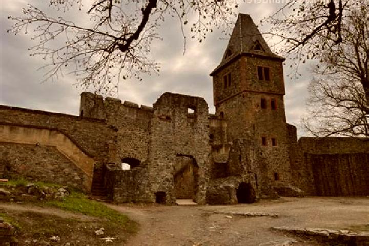 Aurora, 22 — Escort in Frankenstein, Germany