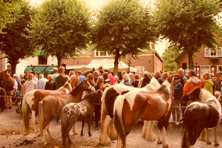 Aurora, 22 — Escort in Kaprijke, Belgium